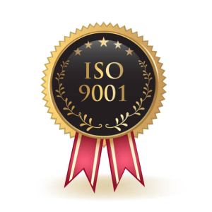 Paving the Path to ISO Certification Excellence