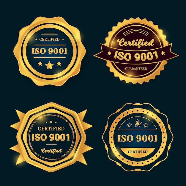ISO Certification For Global Establishment
